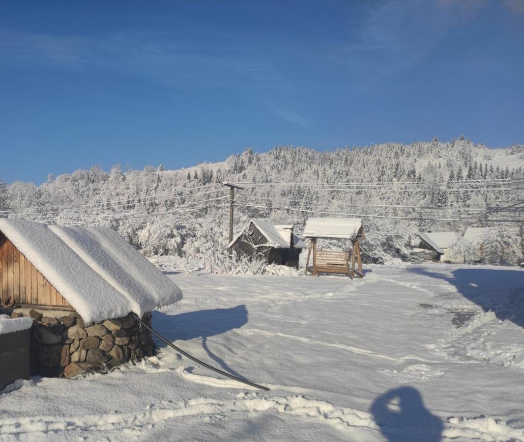 У Мирослави Pilipets Buitenkant foto