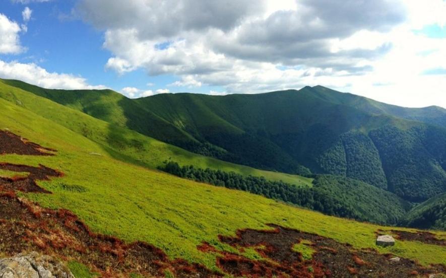 У Мирослави Pilipets Buitenkant foto